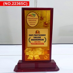 1720424862-h-250-Trophy 2 300X300.jpg